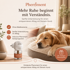 Der medikamentenfreie Pheroment-Diffusor für entspannte Hunde