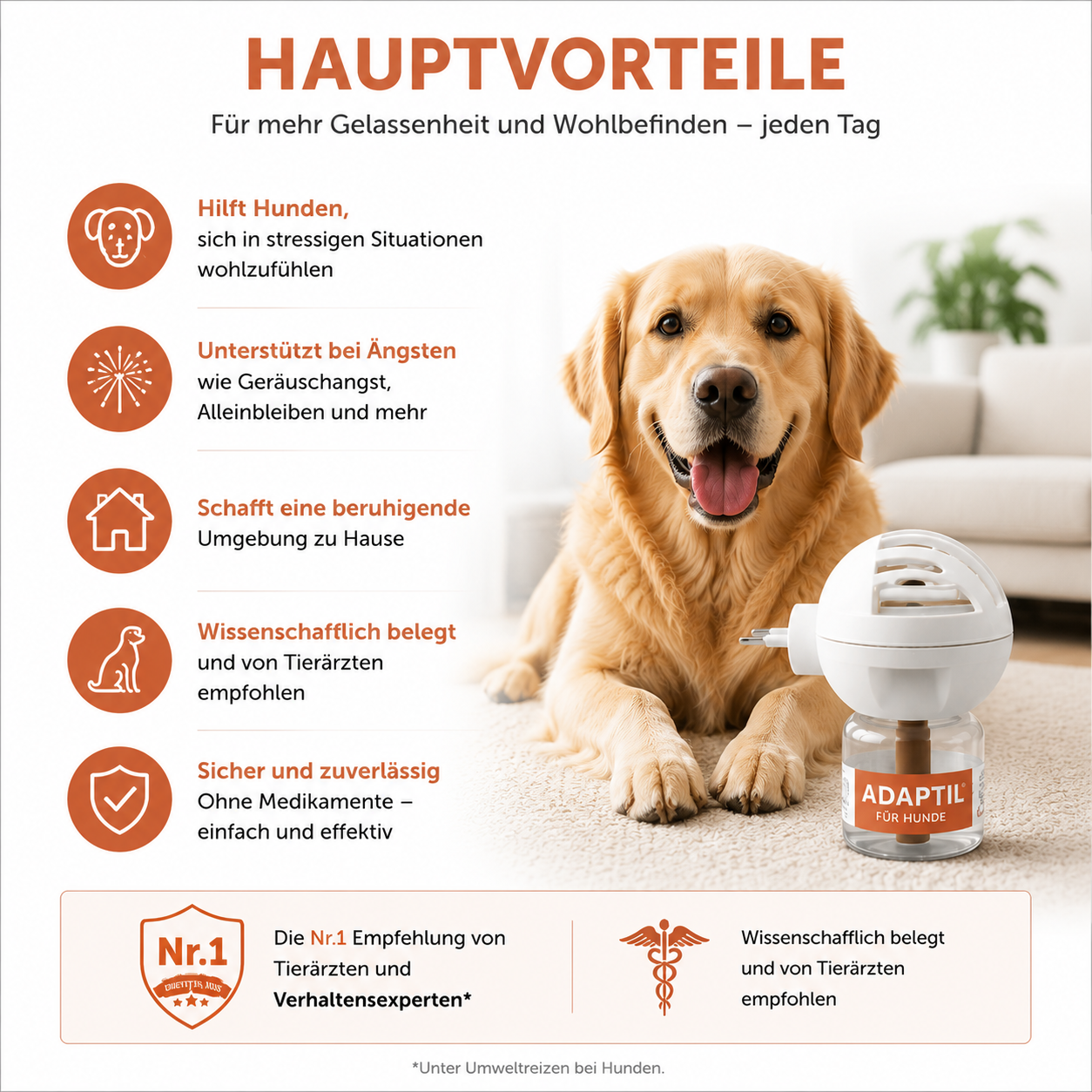 Der medikamentenfreie Pheroment-Diffusor für entspannte Hunde